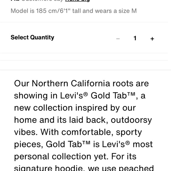 Levi’s Gold Tab size Medium gray pullover hoodie with front kangaroo pocket - Picture 13 of 13